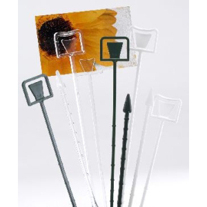 Plastic Card Holders - Green