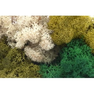 Finland Moss - Dark Green