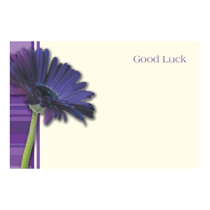 Greeting Card - Good Luck - Purple Gerbera