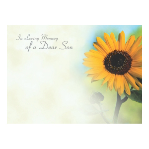 In Loving Memory of a Dear Son