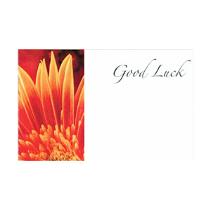 Greeting Card - Good Luck - Orange