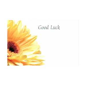 Good Luck - Yellow Gerbera