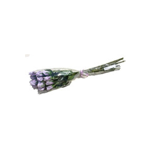 Bunch of 12 Lilac Roses