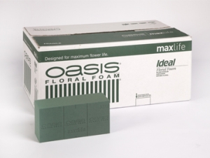 Foam - Wet Foam 20 Bricks - OASIS