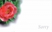 Greeting Card - Sorry - Red