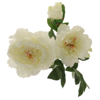 Artificial peony Rose Cream  3 Head