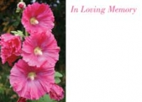 Greeting Card -  ILM Pink Hollyhocks