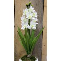 Artificial 29″ RT Cymbidium Spray x8 White (6/48)