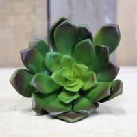 Artificial Succulent Pick (15cm)