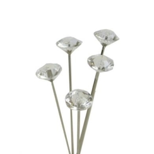 Diamante Pins 5 Cm