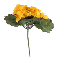 Primula Yellow