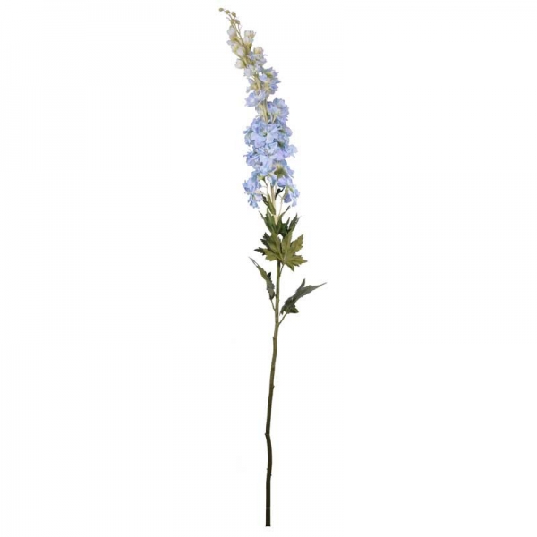 Blue Delphinium