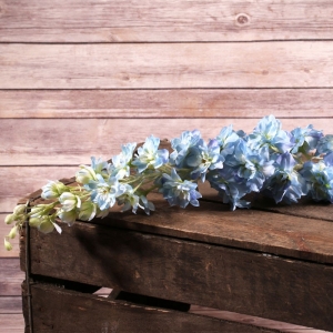 Blue Delphinium