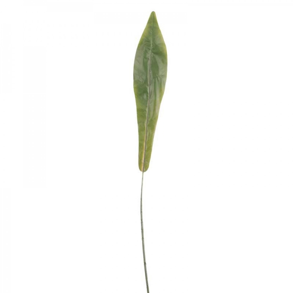 Artificial - Bird Nest Fern Leaf