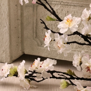 Peach Blossom x 3 Cream