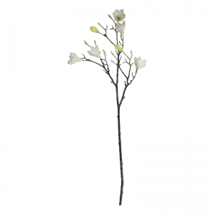 Magnolia Branch Cream