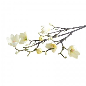Magnolia Branch Cream