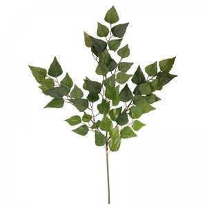 Elm Leaf