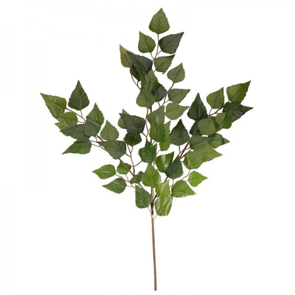 Elm Leaf