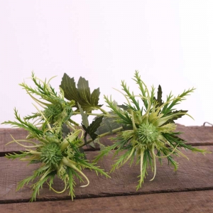 Wild Sea Holly Green