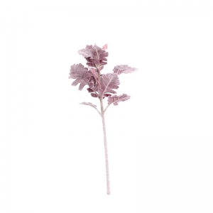 Dusty Miller Burgundy