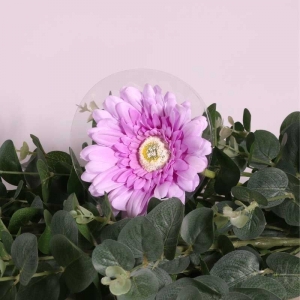 Single Gerbera Purple