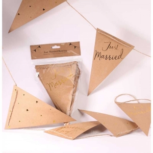 Just Married Bunting