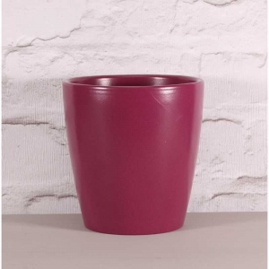 Thorpe Orchid Pot