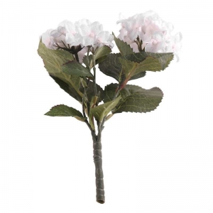 Hydrangea Bush White