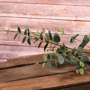 Artificial Flowers - Eucalyptus Spray