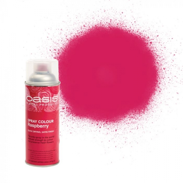OASIS® Spray Colours - Raspberry
