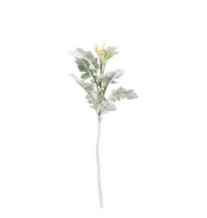 Artificial Flowers - Short Stem Dusty Miller Green