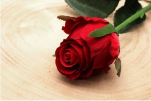Artificial Flowers - Oxford Rose Bud