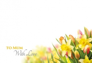 Greeting Cards - Happy Mothers Day - Tulips & Daffodils