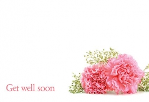 Greeting Cards - Get Well Soon - Pink Carnations & Gypsophila