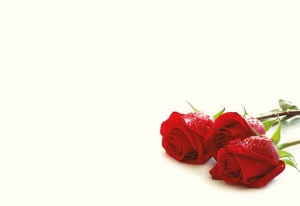Greeting Card - Three Red Roses