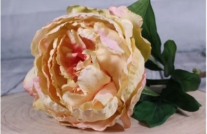 Artificial Flowers - Single Peony Cream Blush