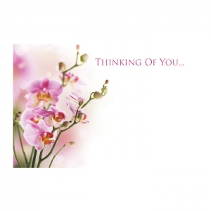 Greeting Card - Thinking of You - Pink Orchids