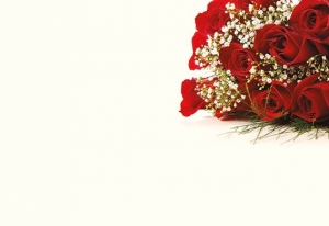 Greeting Card - Dozen Red Roses & Gypsophila