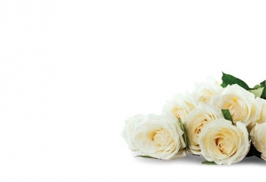 Greeting Card - Ivory Rose Bunch