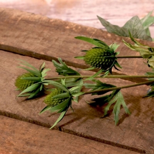 Thistle Spray Green (66cm)