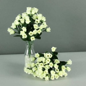 mini rose bud bush white