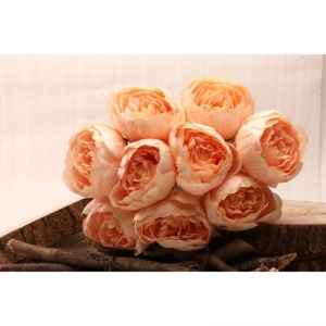 Peony Bunch x 9 heads Peach