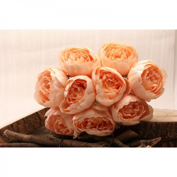 Peony Bunch x 9 heads Peach