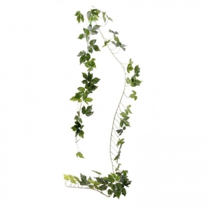 Vine Garland (71 lvs) Green (2m)