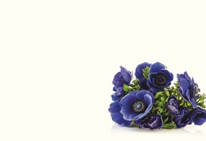 Blue Anemone Posy